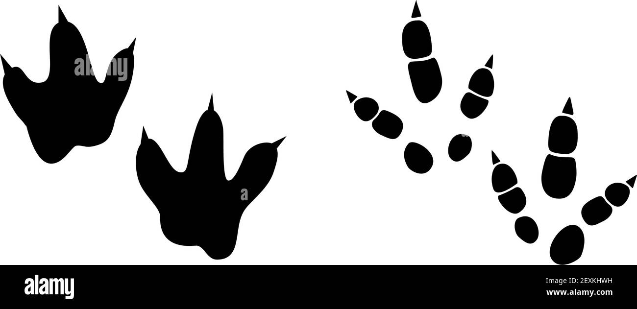 Detail Dinosaur Footprints Vector Nomer 29