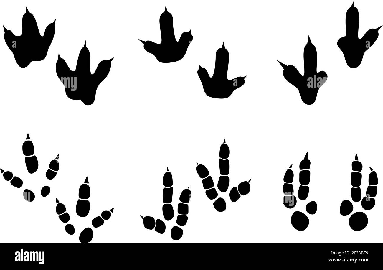 Detail Dinosaur Footprints Vector Nomer 40