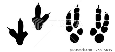 Detail Dinosaur Footprints Vector Nomer 48