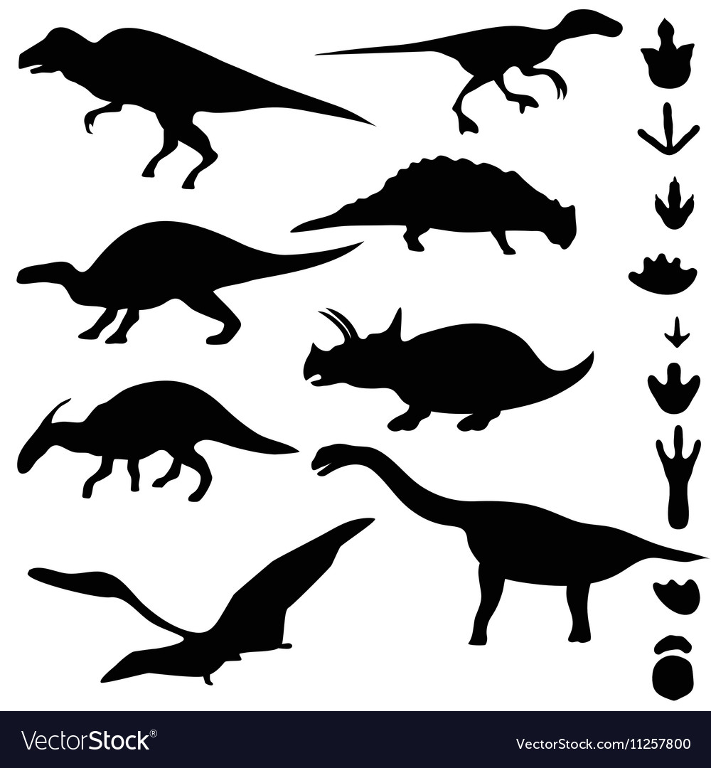 Detail Dinosaur Footprints Vector Nomer 52