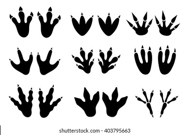 Detail Dinosaur Footprints Vector Nomer 9