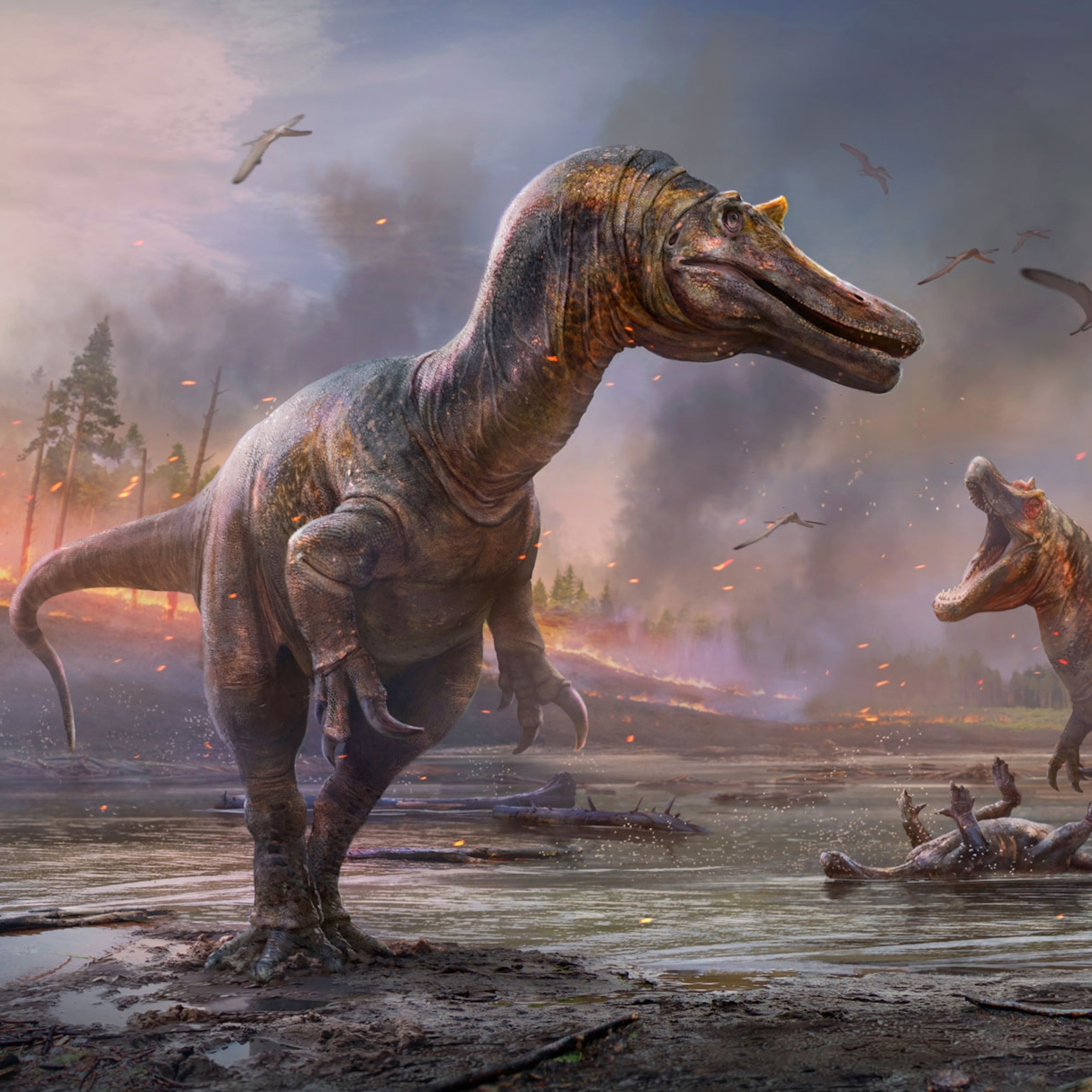 Dinosaur Image - KibrisPDR