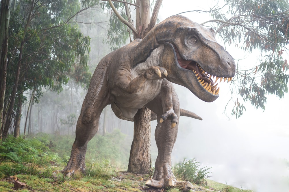 Dinosaur Images Free Download - KibrisPDR