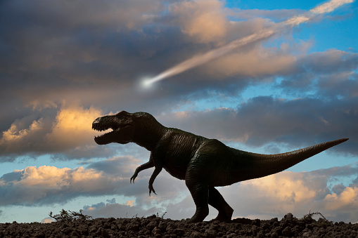 Detail Dinosaur Images Free Download Nomer 11