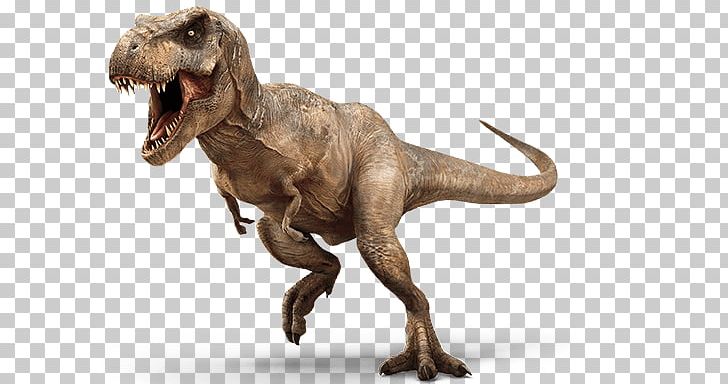 Detail Dinosaur Images Free Download Nomer 17