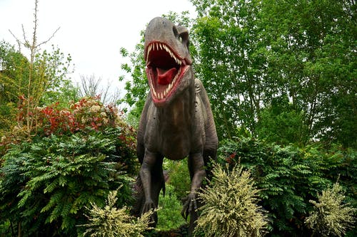 Detail Dinosaur Images Free Download Nomer 19