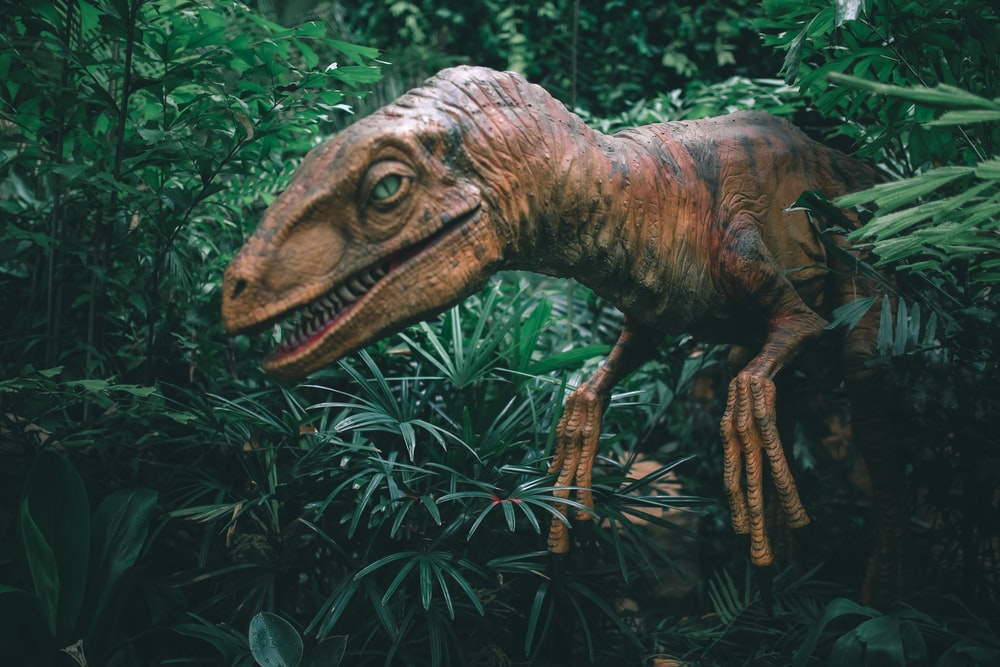 Detail Dinosaur Images Free Download Nomer 3