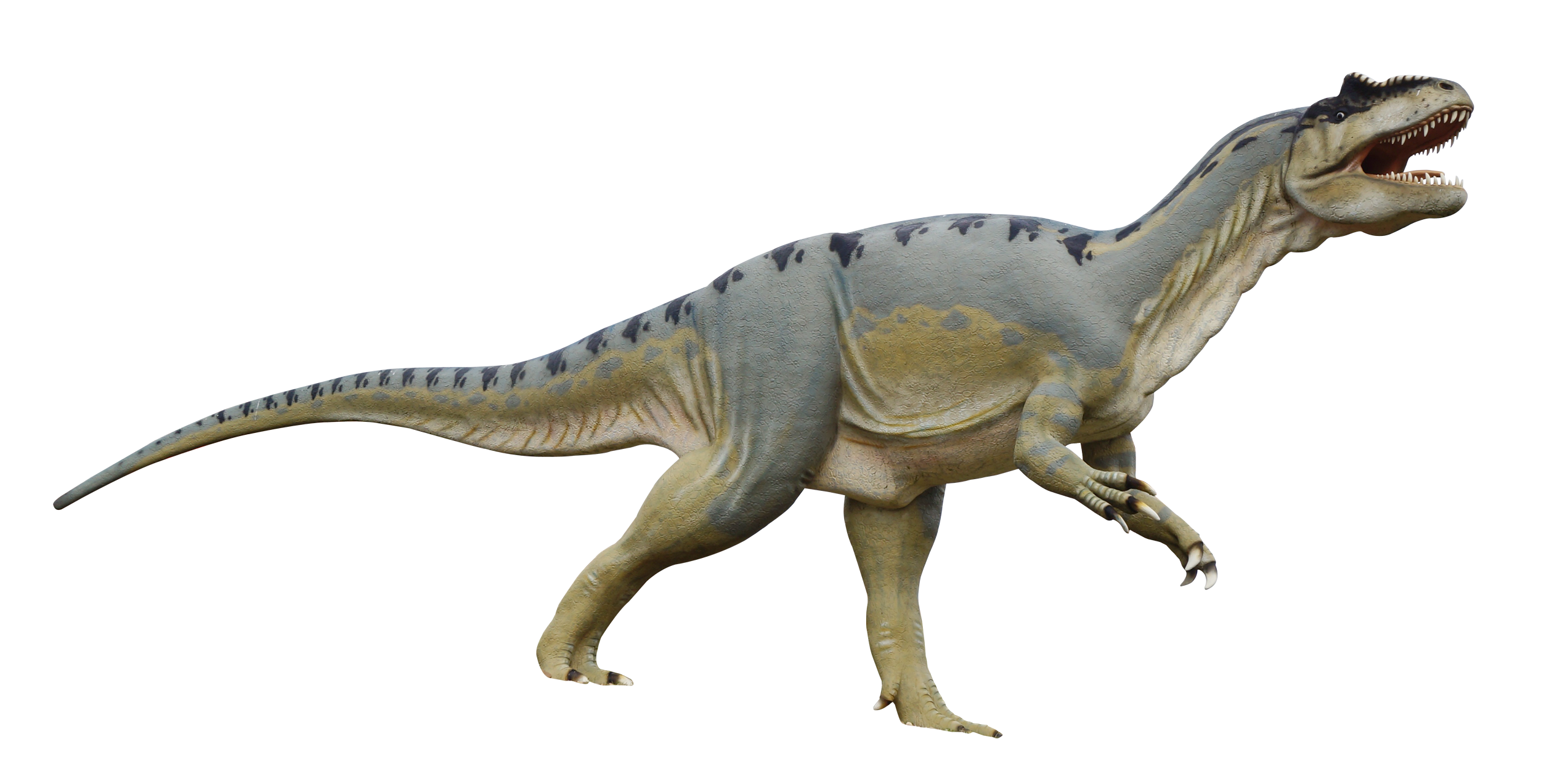 Detail Dinosaur Images Free Download Nomer 22