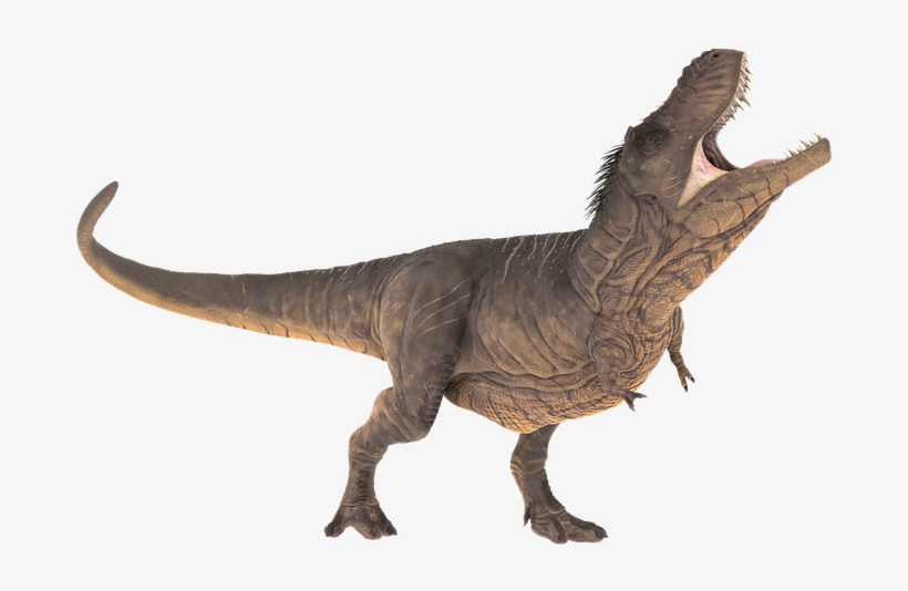 Detail Dinosaur Images Free Download Nomer 26