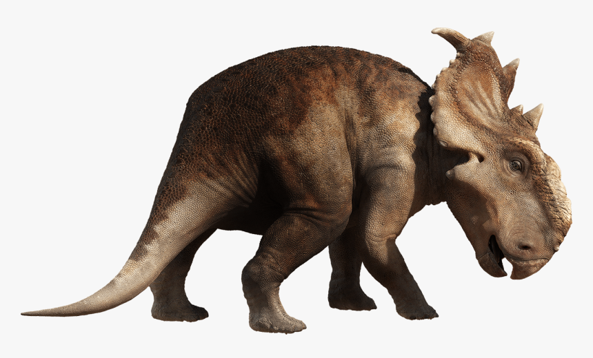 Detail Dinosaur Images Free Download Nomer 30