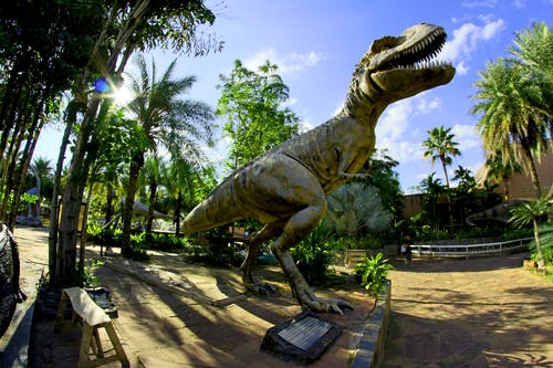 Detail Dinosaur Images Free Download Nomer 38