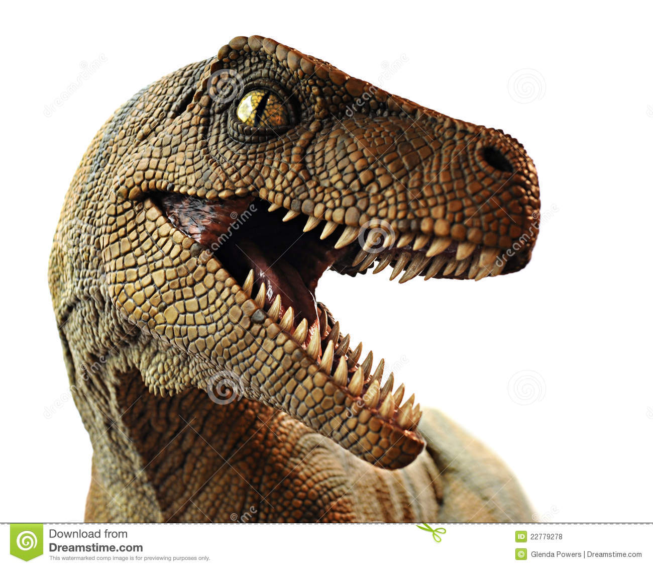 Detail Dinosaur Images Free Download Nomer 5