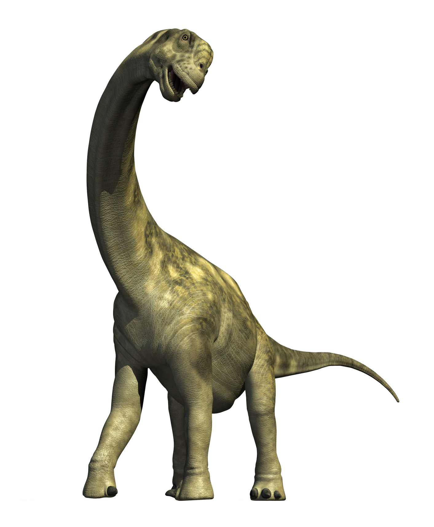 Detail Dinosaur Images Free Download Nomer 48
