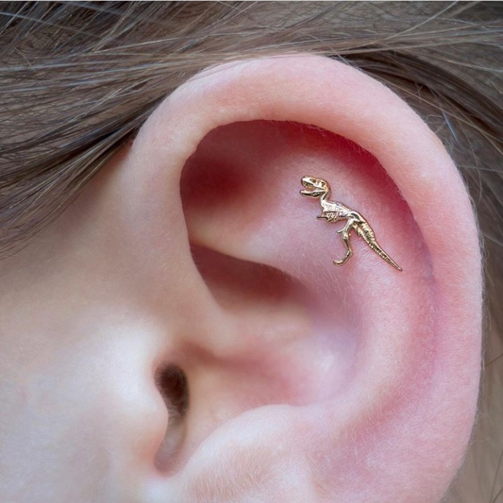 Detail Dinosaur Industrial Piercing Nomer 13