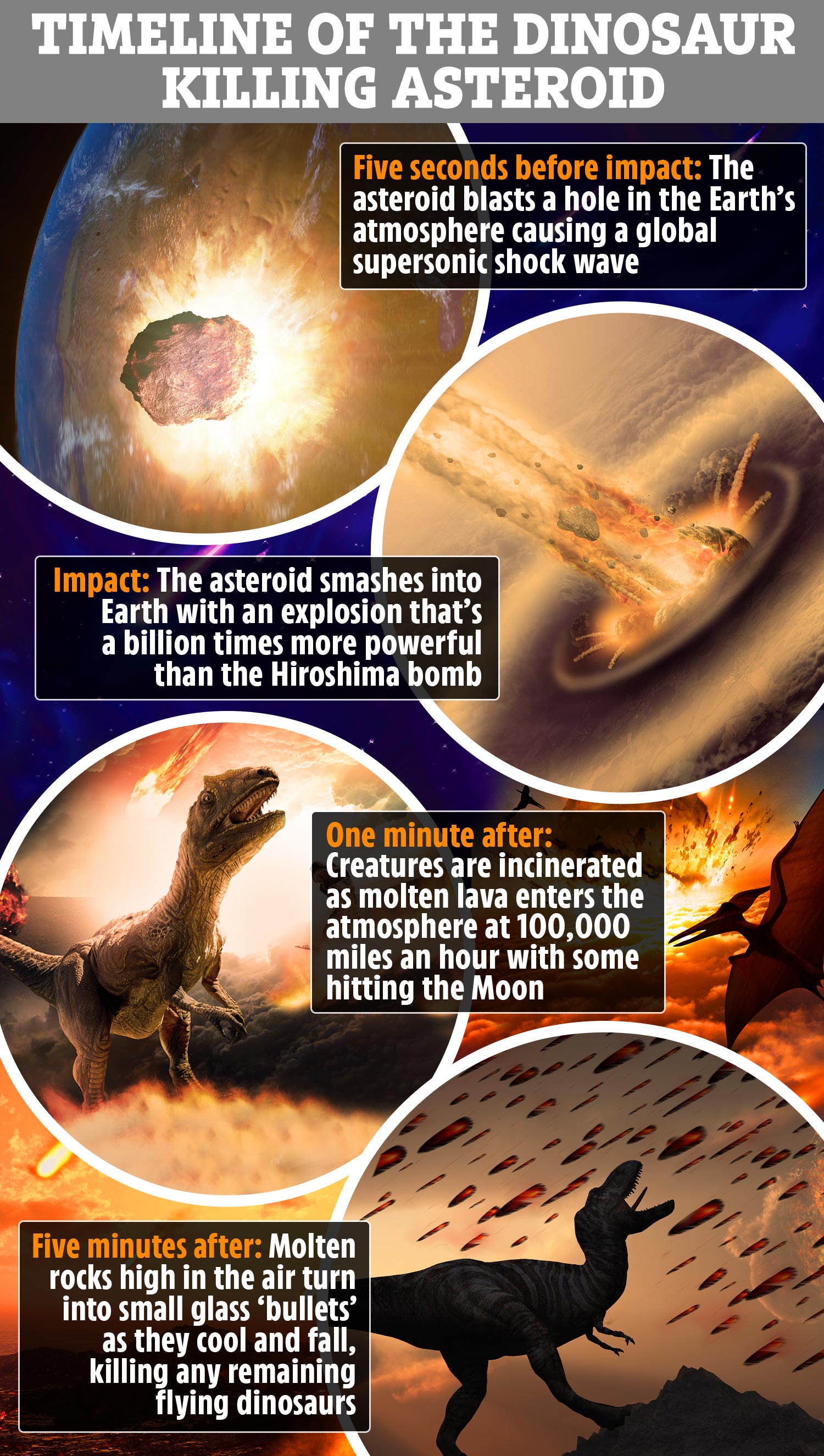Detail Dinosaur Meteor Tiktok Nomer 37