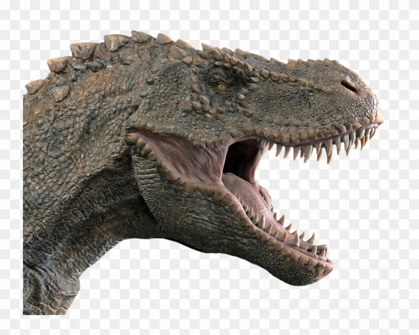 Detail Dinosaur Mouth Clipart Nomer 55