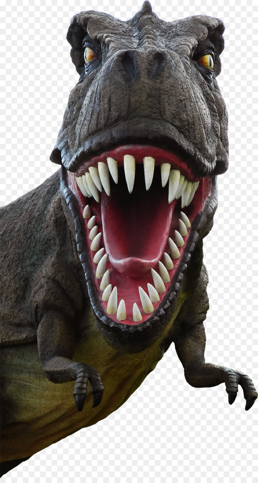 Detail Dinosaur Mouth Clipart Nomer 9