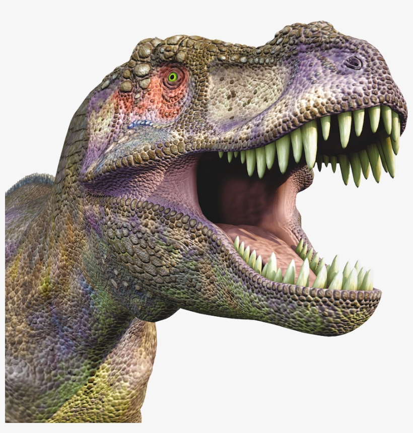 Detail Dinosaur Png Images Nomer 52