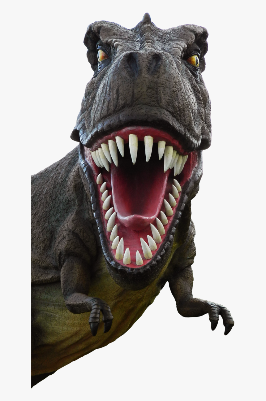 Detail Dinosaur Png Transparent Nomer 3