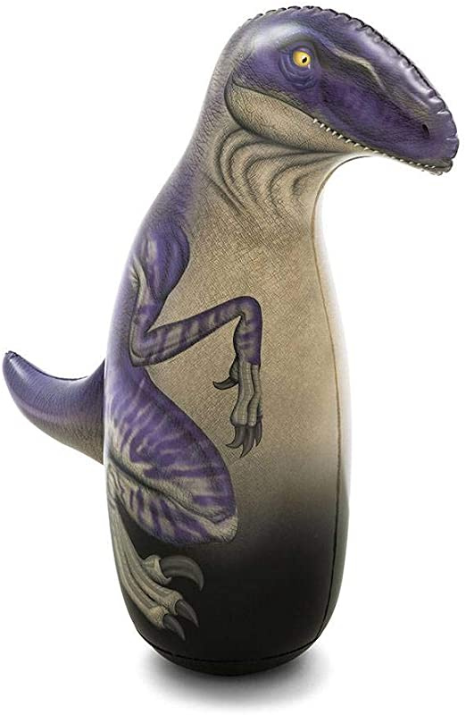 Detail Dinosaur Punching Bag Nomer 53