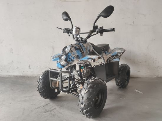 Detail Dinosaur Quad Bike Nomer 42