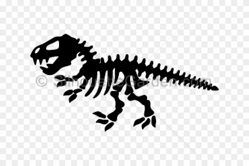Detail Dinosaur Skeleton Clipart Nomer 16