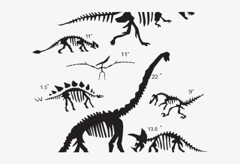 Detail Dinosaur Skeleton Clipart Nomer 18