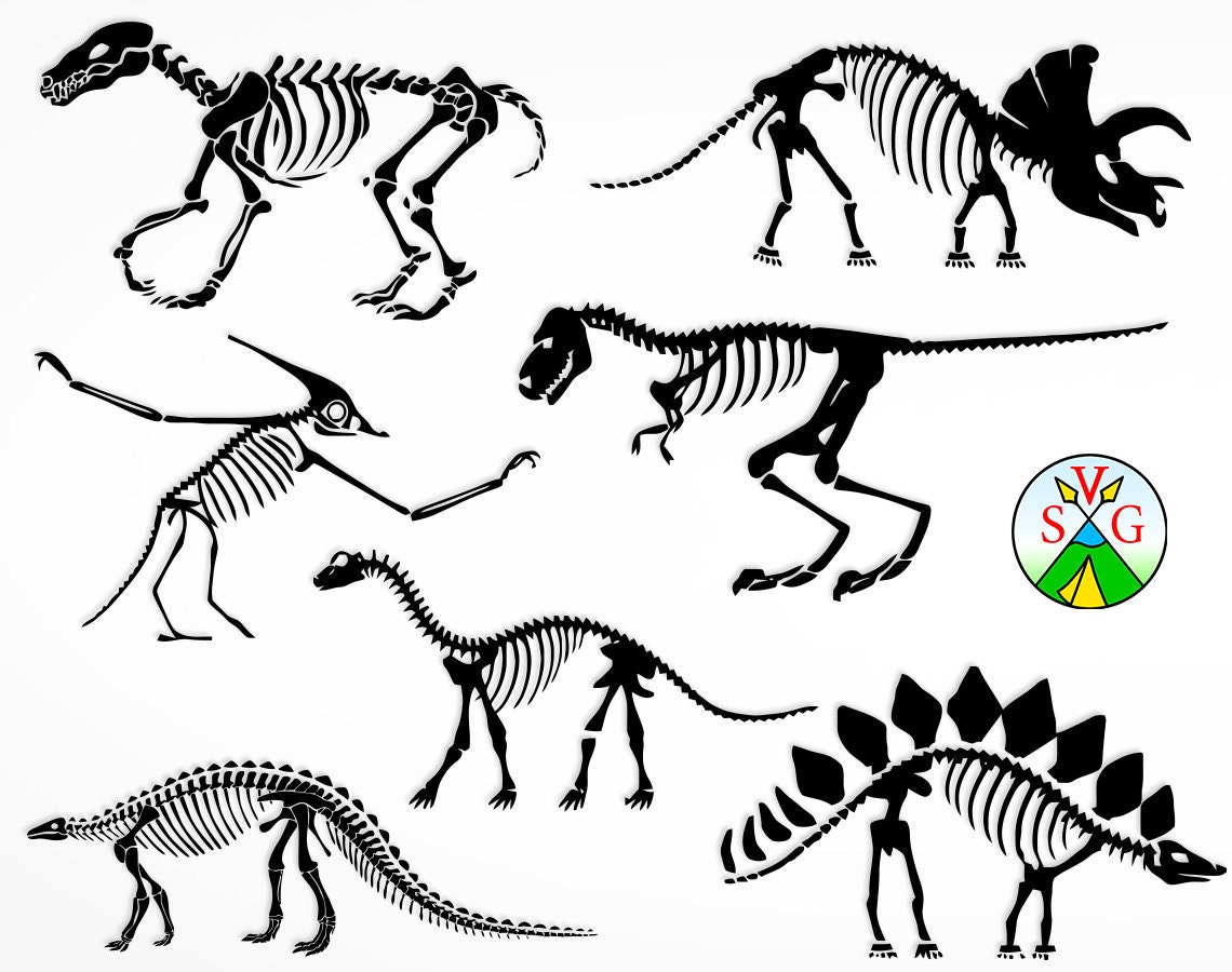 Detail Dinosaur Skeleton Clipart Nomer 22
