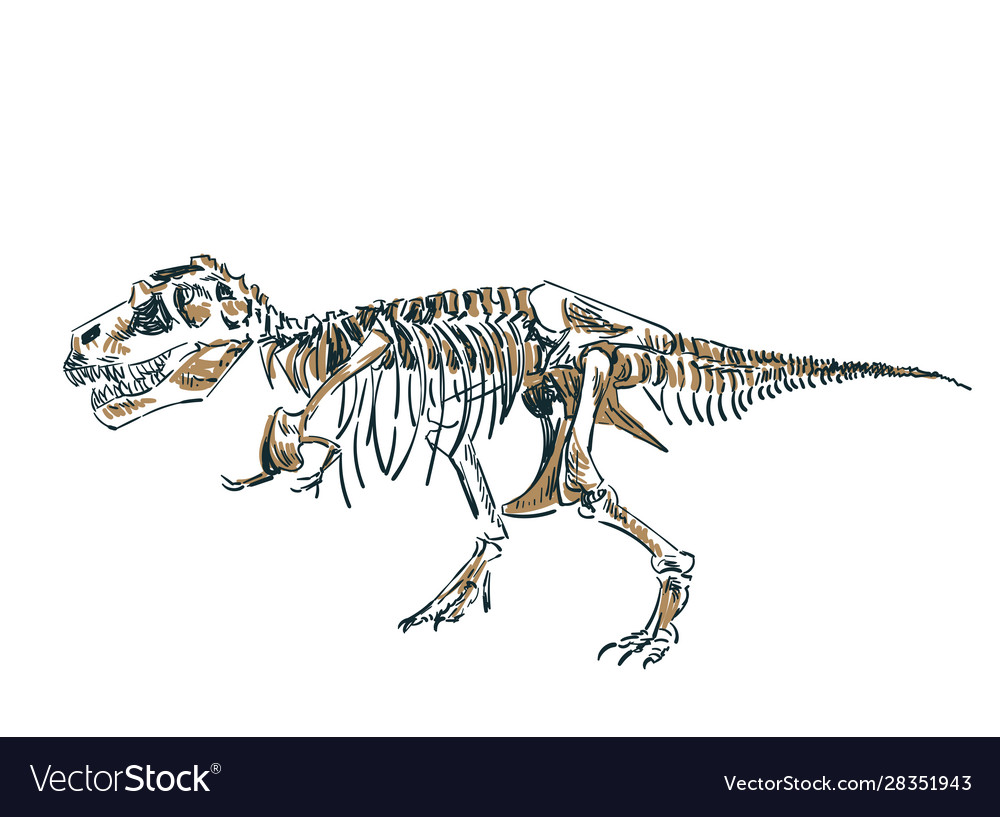Detail Dinosaur Skeleton Clipart Nomer 24