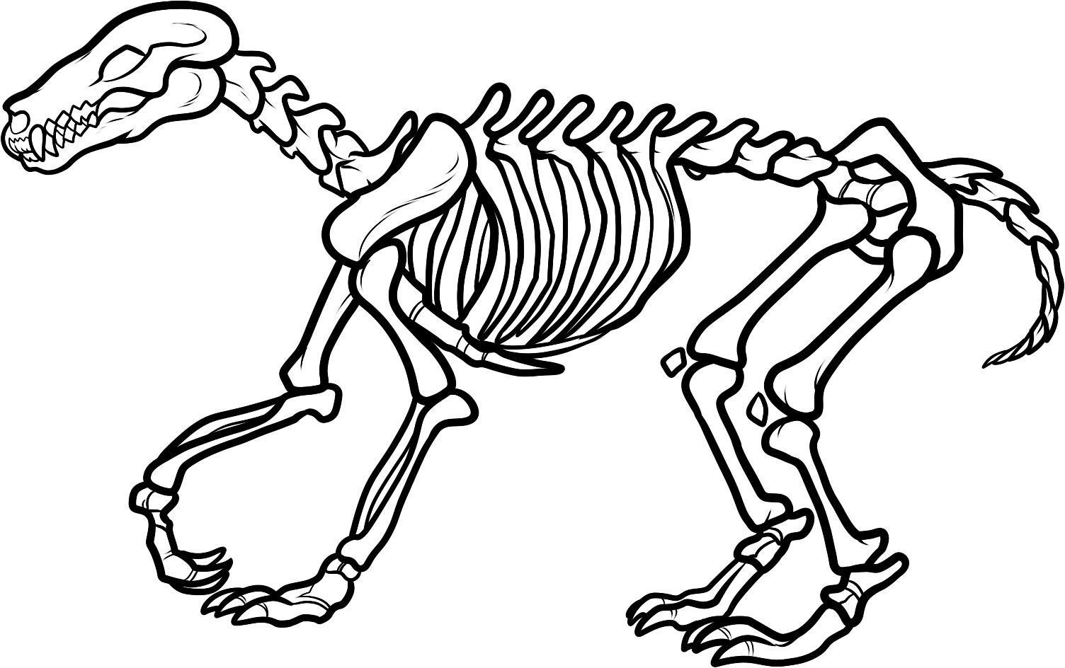 Detail Dinosaur Skeleton Clipart Nomer 39