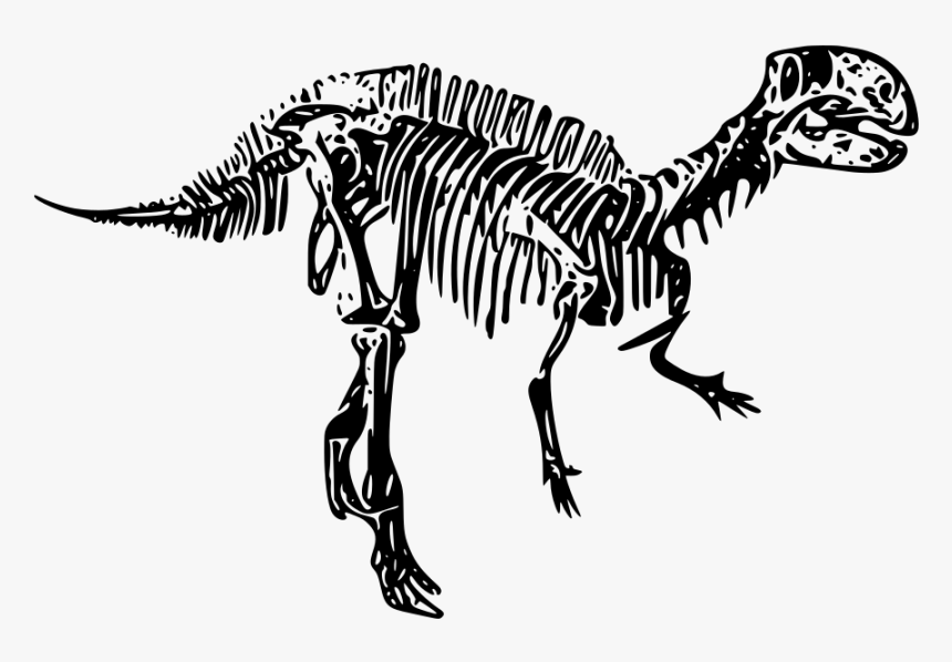 Detail Dinosaur Skeleton Clipart Nomer 45