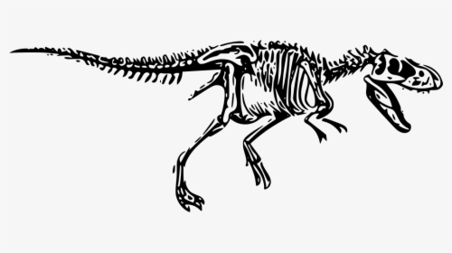Detail Dinosaur Skeleton Clipart Nomer 46