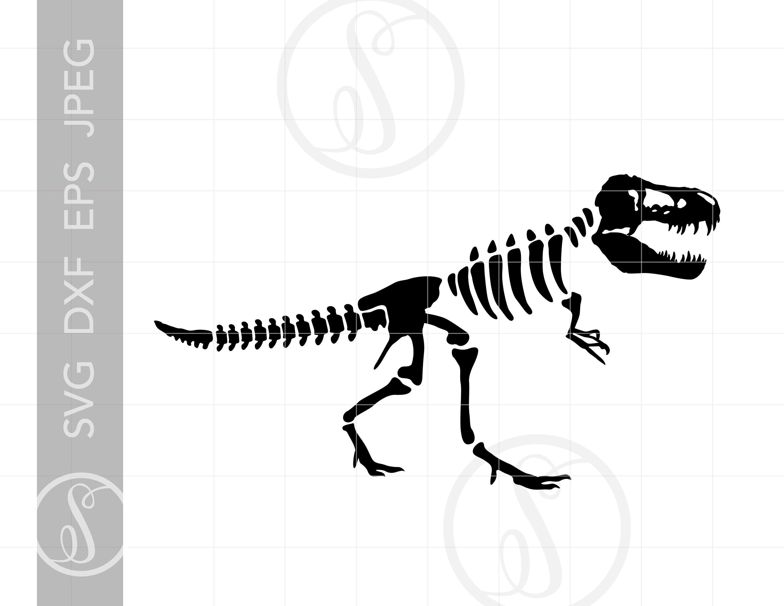 Detail Dinosaur Skeleton Clipart Nomer 6
