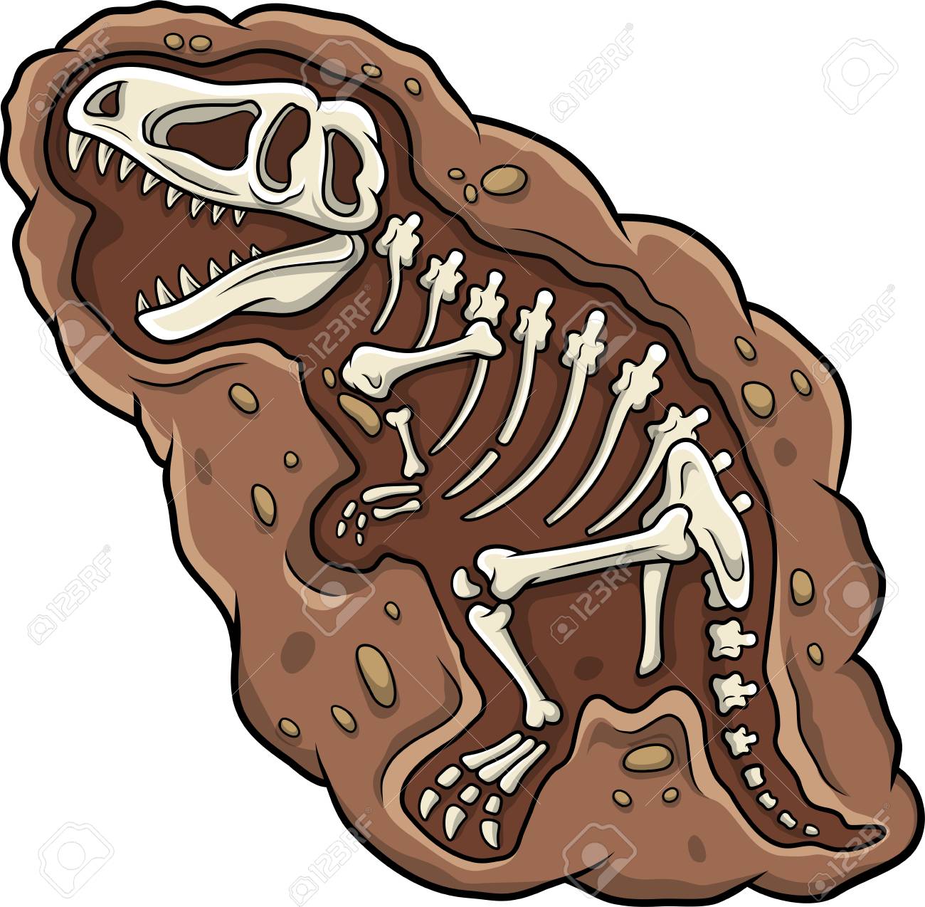 Detail Dinosaur Skeleton Clipart Nomer 8