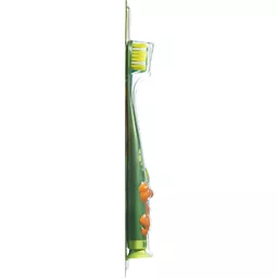 Detail Dinosaur Train Toothbrush Nomer 10