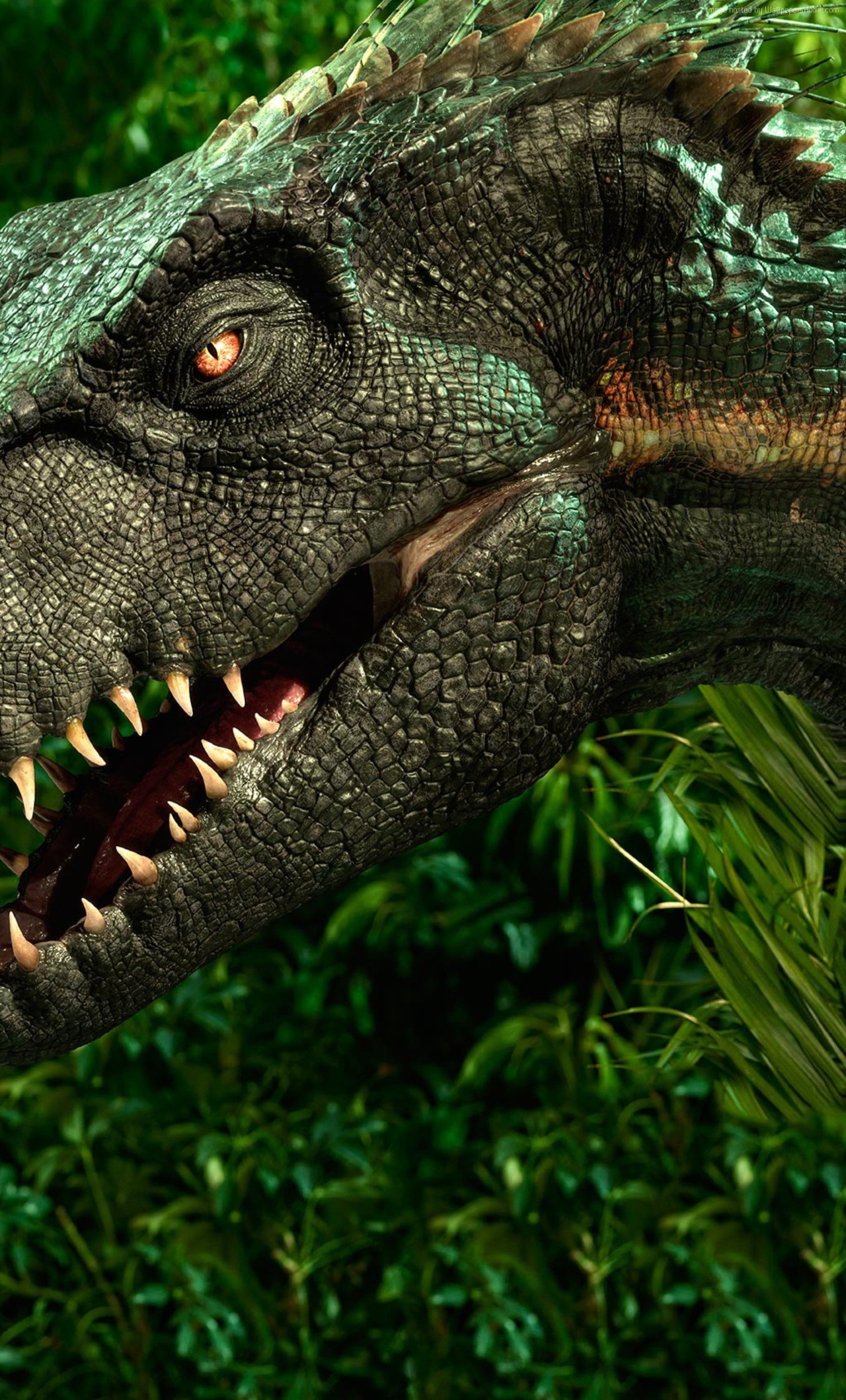 Detail Dinosaur Wallpaper Hd Nomer 27