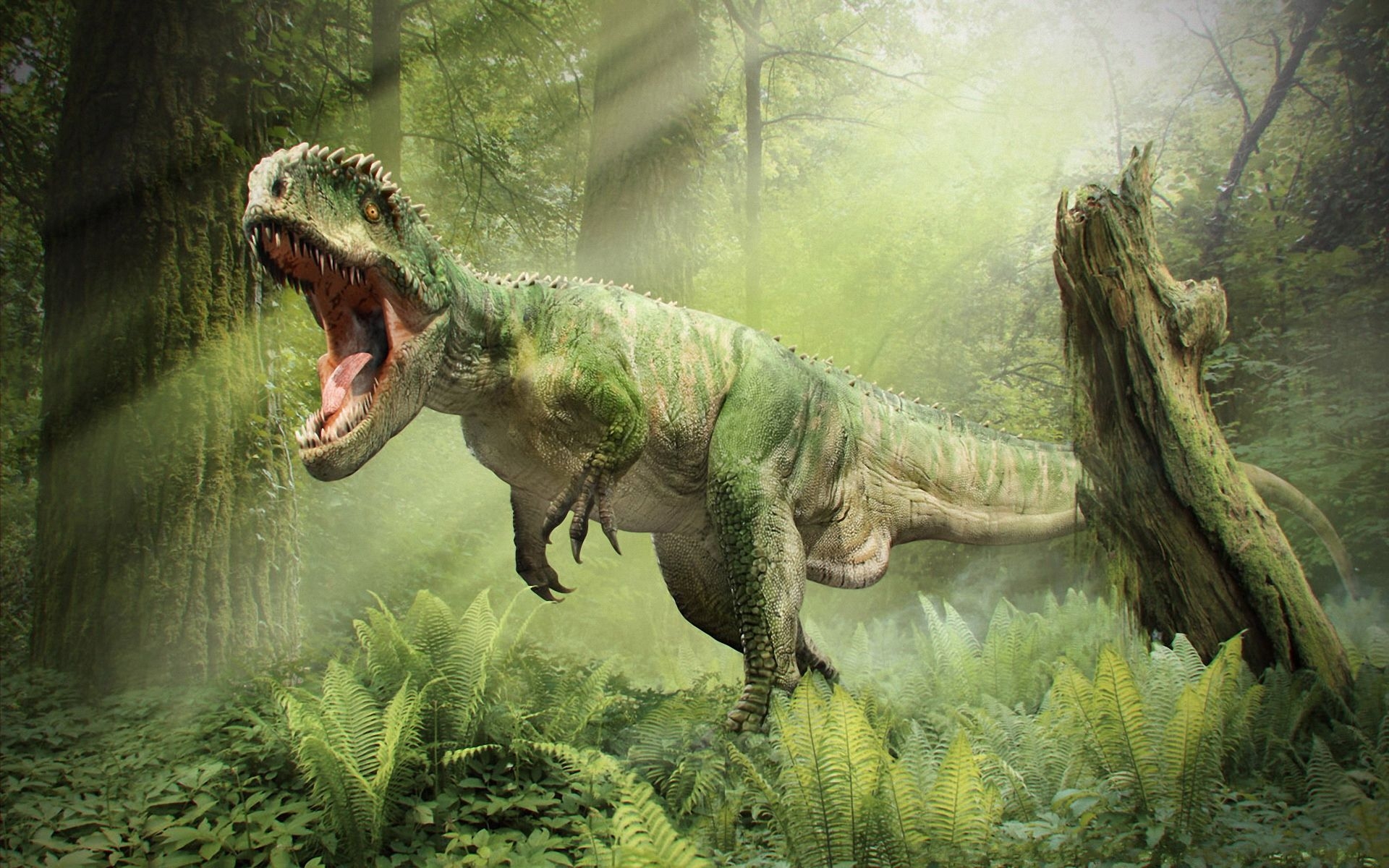 Detail Dinosaur Wallpaper Hd Nomer 47