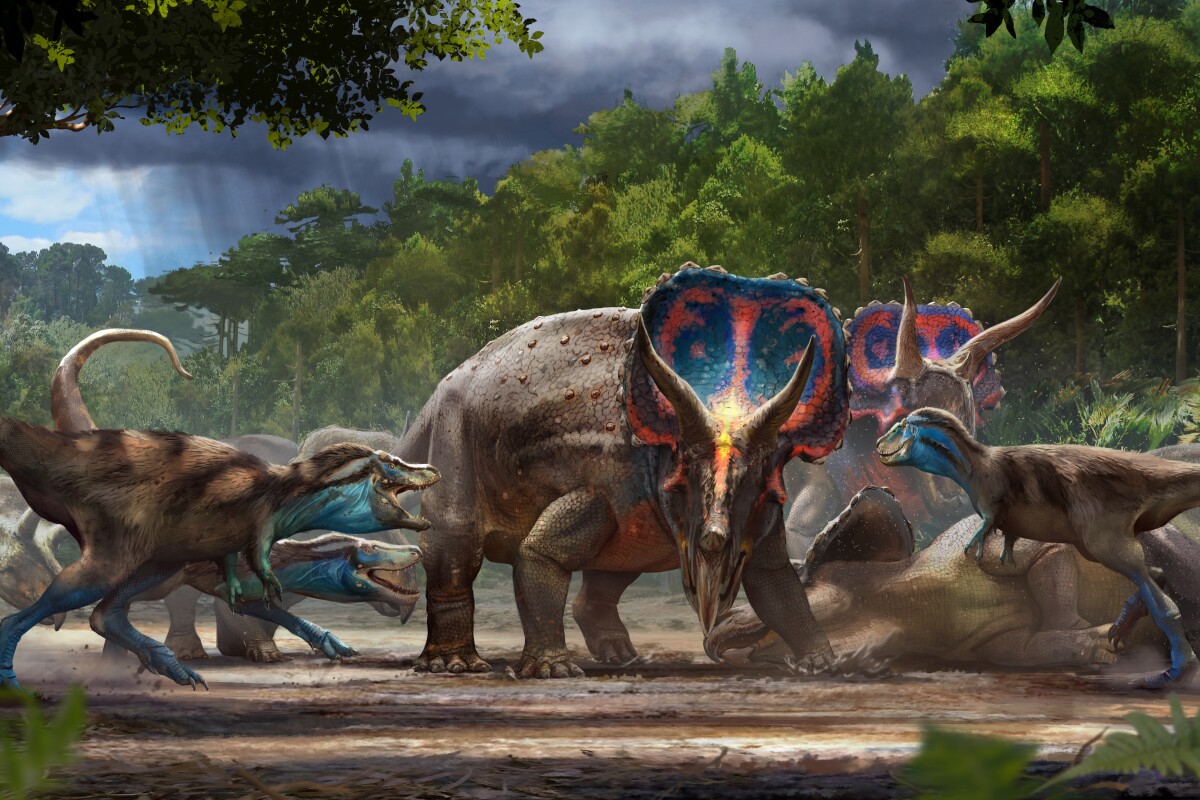 Detail Dinosaurs Images Nomer 24