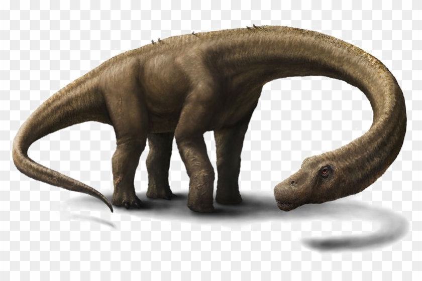 Detail Dinosaurs Png Nomer 18