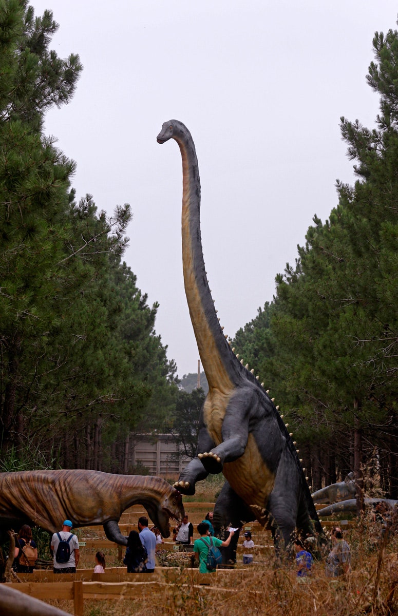 Detail Dinosaurs Real Images Nomer 42