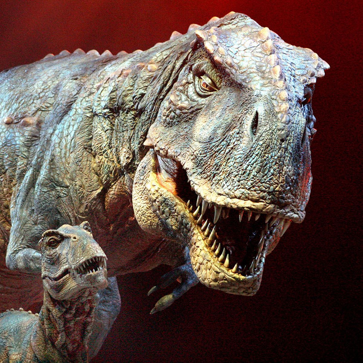 Detail Dinosaurs Real Photos Nomer 24