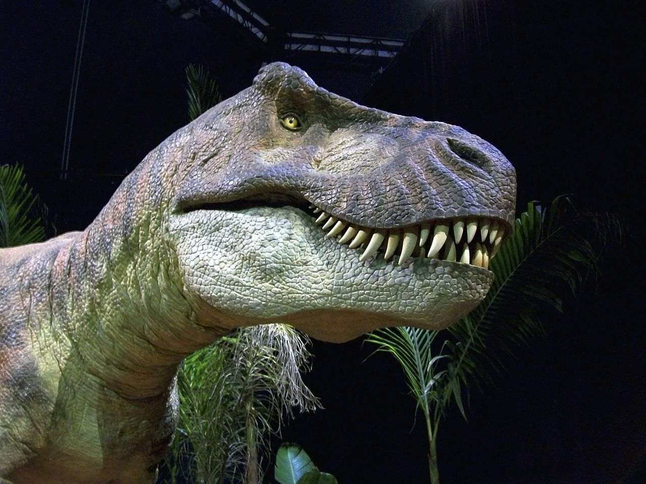 Detail Dinosaurus Karnivora Bertanduk Nomer 9