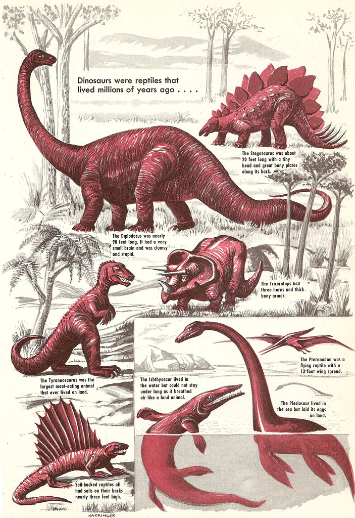 Detail Dinosaurus Karnivora Bertanduk Nomer 12