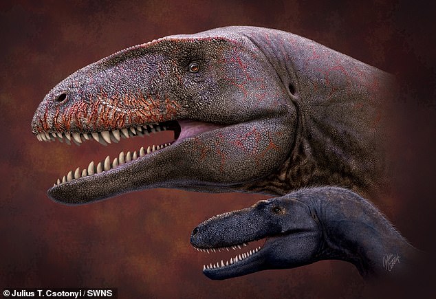 Detail Dinosaurus Karnivora Bertanduk Nomer 17