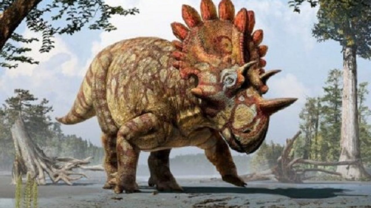 Detail Dinosaurus Karnivora Bertanduk Nomer 21