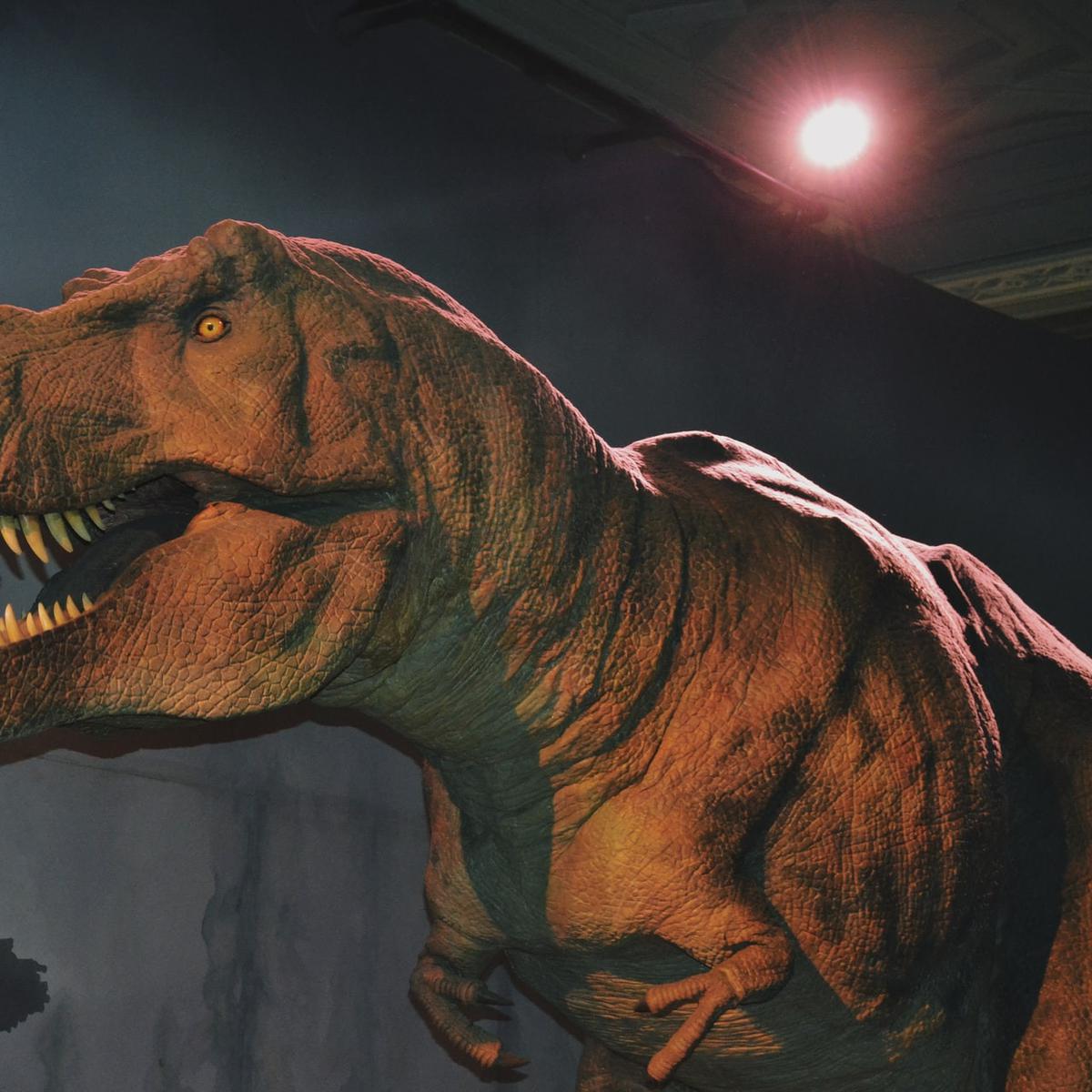 Detail Dinosaurus Karnivora Bertanduk Nomer 31