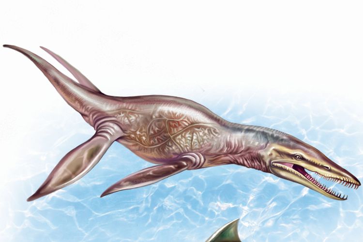 Detail Dinosaurus Laut Terbesar Nomer 12