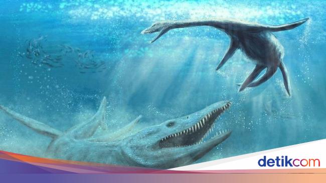 Detail Dinosaurus Laut Terbesar Nomer 6