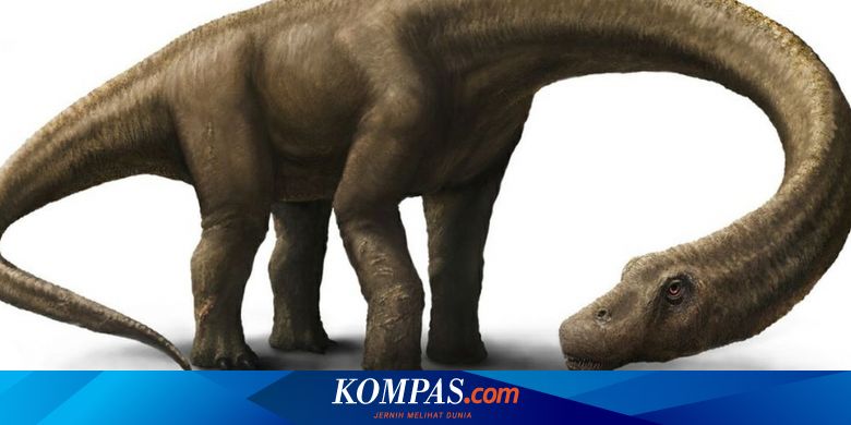 Detail Dinosaurus Laut Terganas Nomer 28