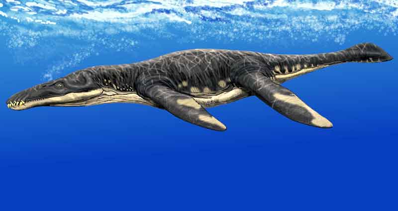 Detail Dinosaurus Laut Terganas Nomer 44